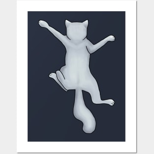 Climbing Cat Posters and Art